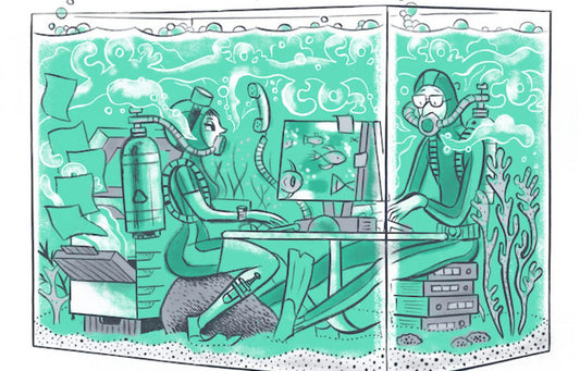 Frische Luft, frische Ideen