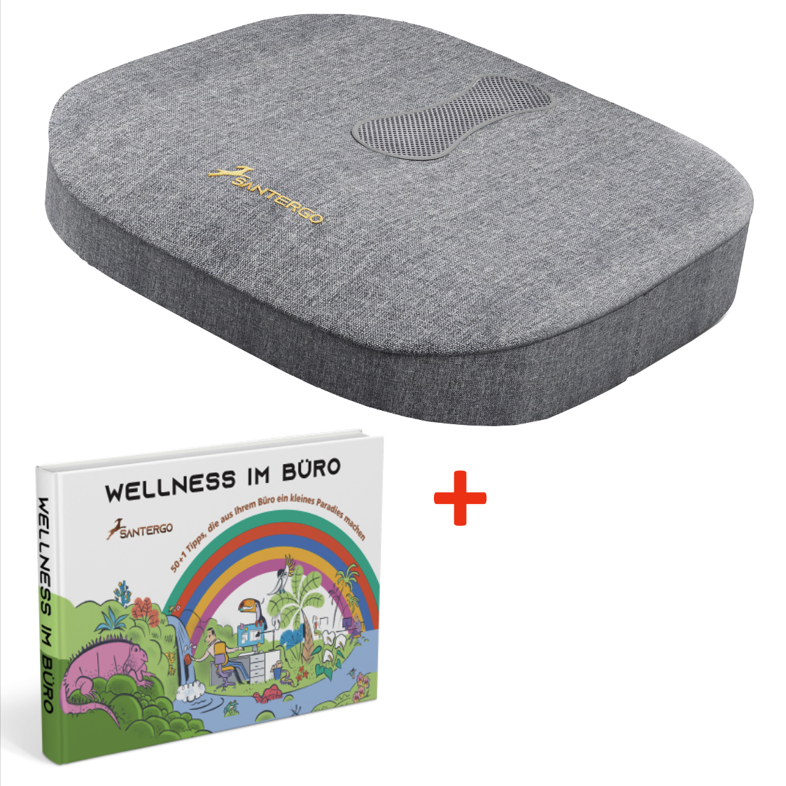 ALL IN: SANTERGO orthopädisches Sitzkissen (eine Farbe nach Wahl) + Buch